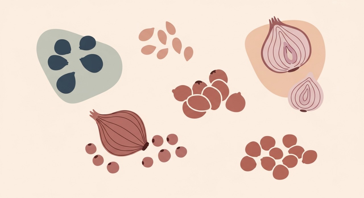 jenis benih bawang merah