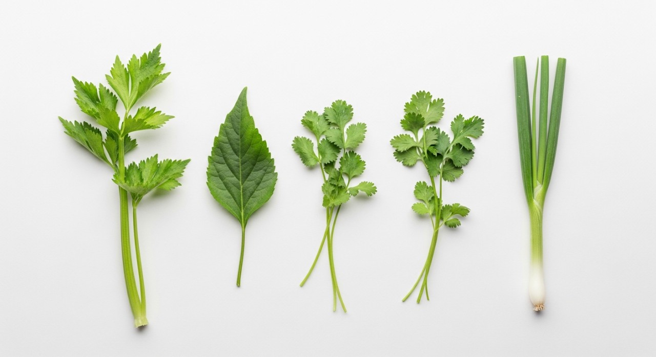 jenis daun untuk sup