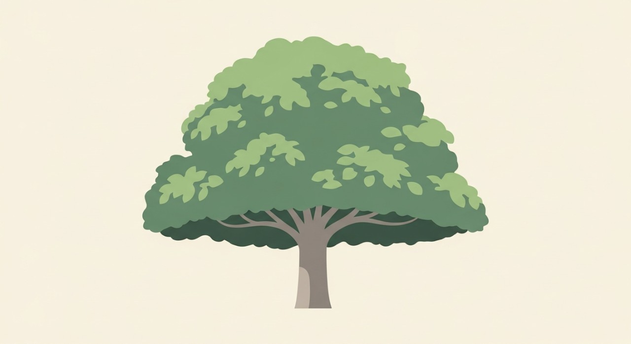 Sebatang pokok berdaun lebat yang besar memberikan teduhan semula jadi di kawasan halaman rumah teres.